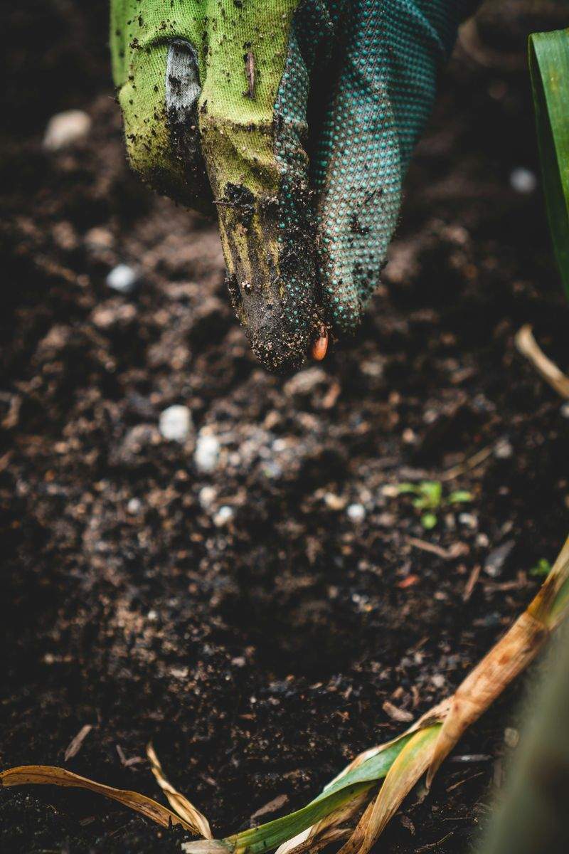 Grünblick Gartenpflege GmbH