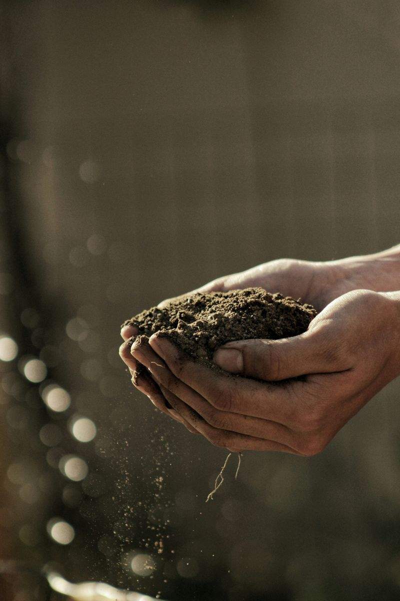 Saisonaler Gartenpflege-Workflow für ein Wohnobjekt