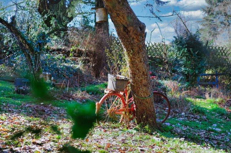 Grünblick Gartenpflege GmbH 1