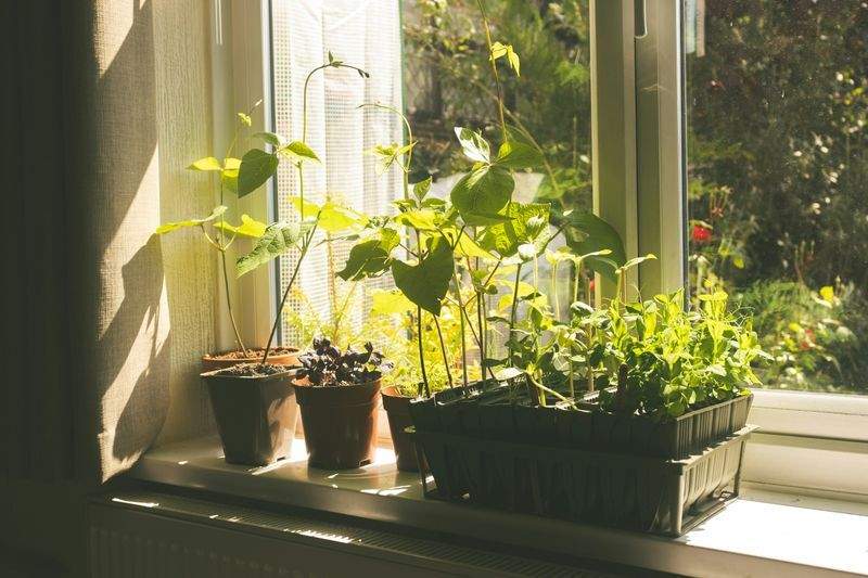 Grünblick Gartenpflege GmbH 15