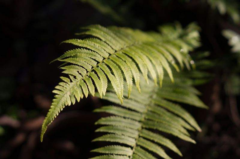 Grünblick Gartenpflege GmbH 3