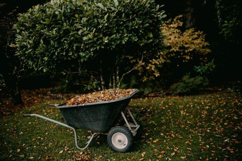 Grünblick Gartenpflege GmbH 8
