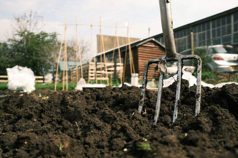 Grünblick Gartenpflege GmbH