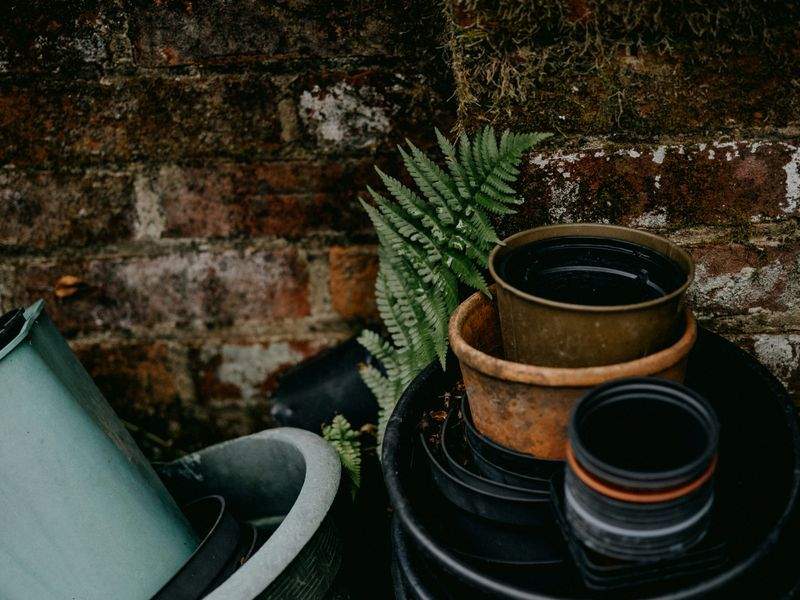 Saisonale Gartenpflege und Laubentfernung